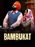 Bambukat.jpg