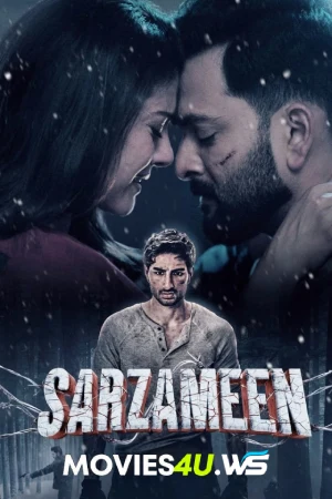 Sarzameen.webp.webp