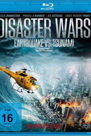 Tsunami202013.jpg